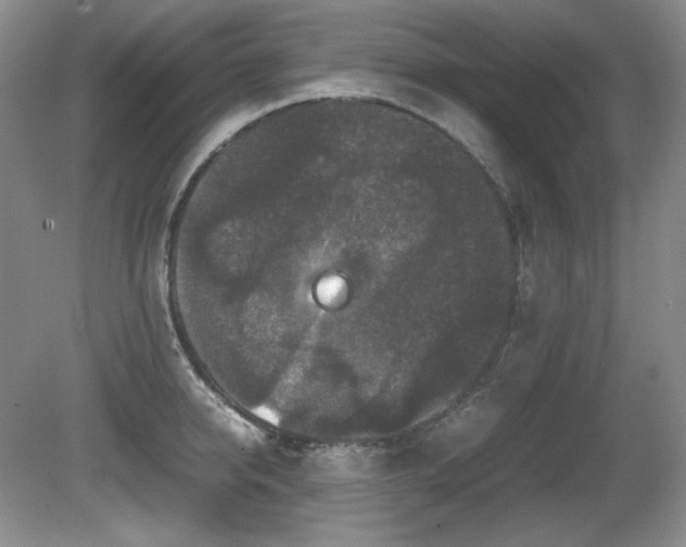 X0000081610950200701151402