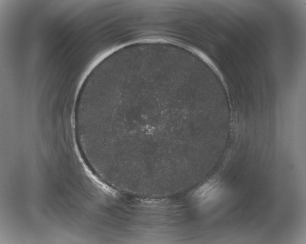 X0000081610951200701151402