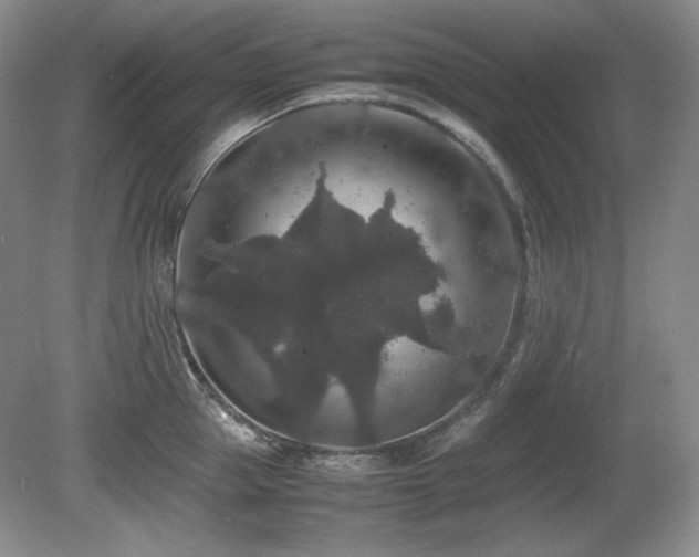 X0000081610953200701151402