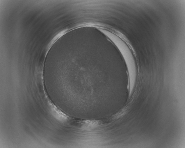 X0000081610954200701151402