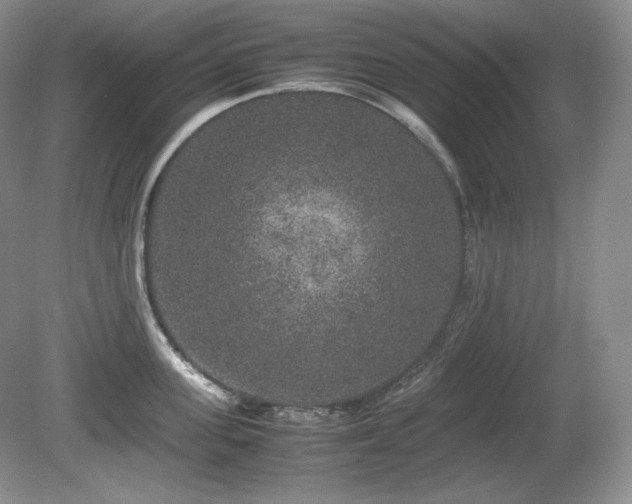 X0000081610955200701151402