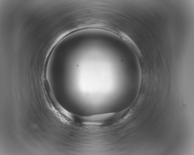 X0000081610956200701151402