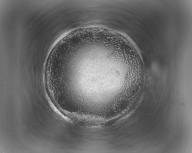 X0000081610957200701151402