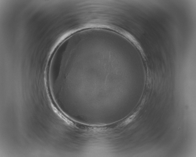 X0000081610958200701151402