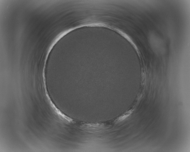 X0000081610959200701151402