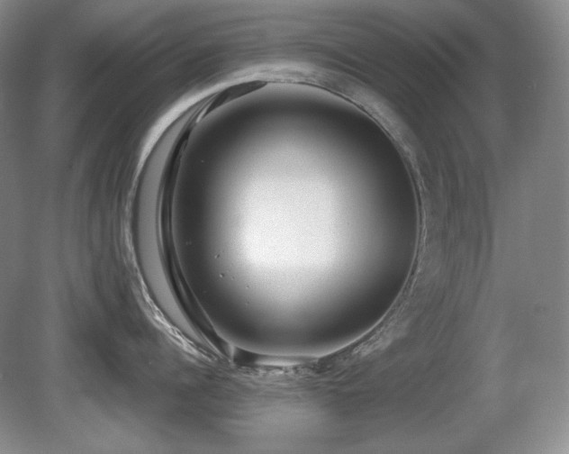 X0000081610960200701151402