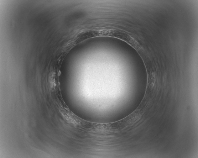 X0000081610962200701151401