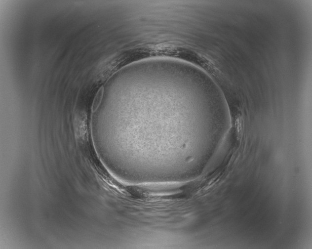 X0000081610963200701151401