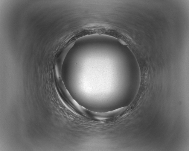 X0000081610965200701151401