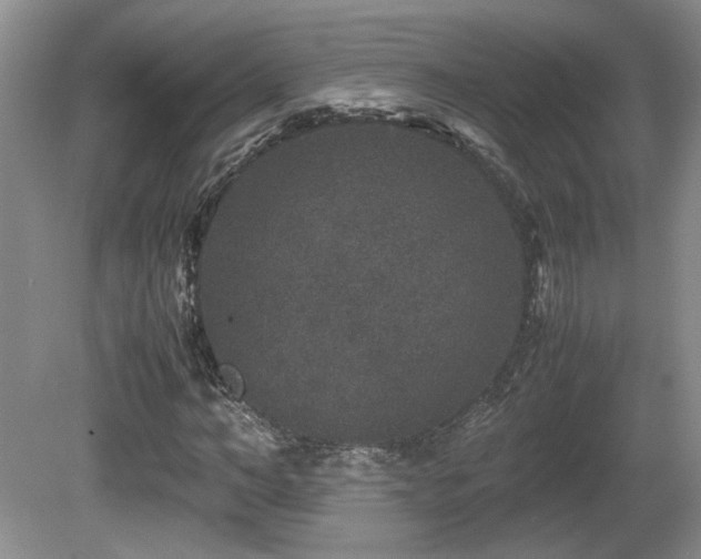 X0000081610966200701151401