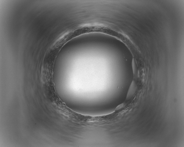 X0000081610967200701151401