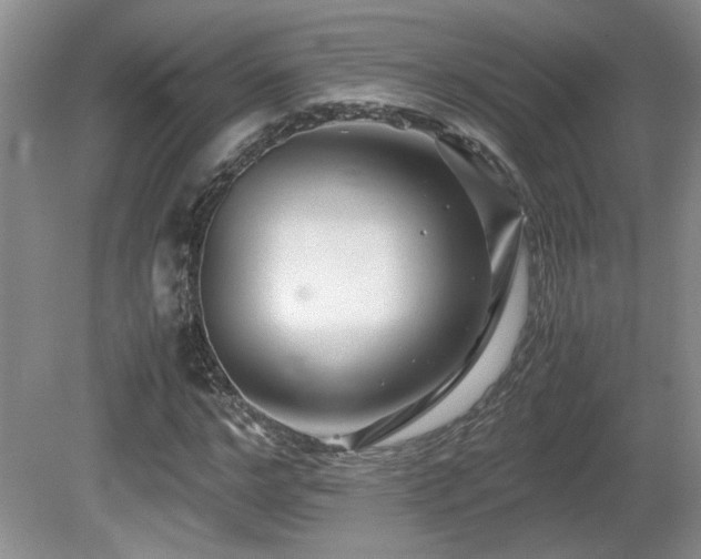 X0000081610968200701151401