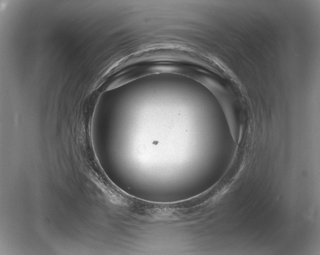 X0000081610969200701151401