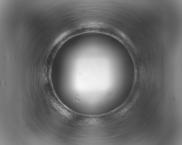 X0000081610970200701151401