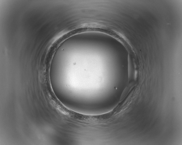 X0000081610971200701151401