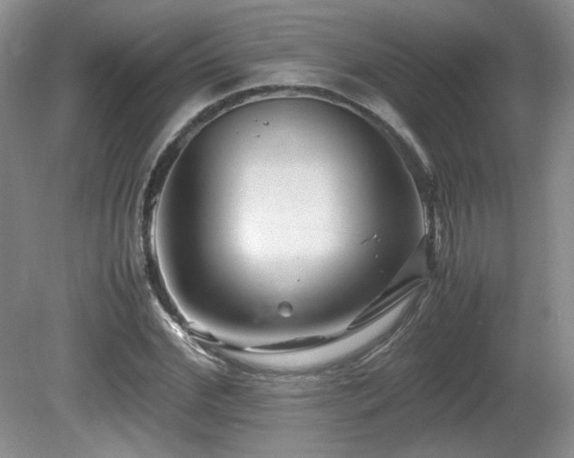 X0000081610972200701151401