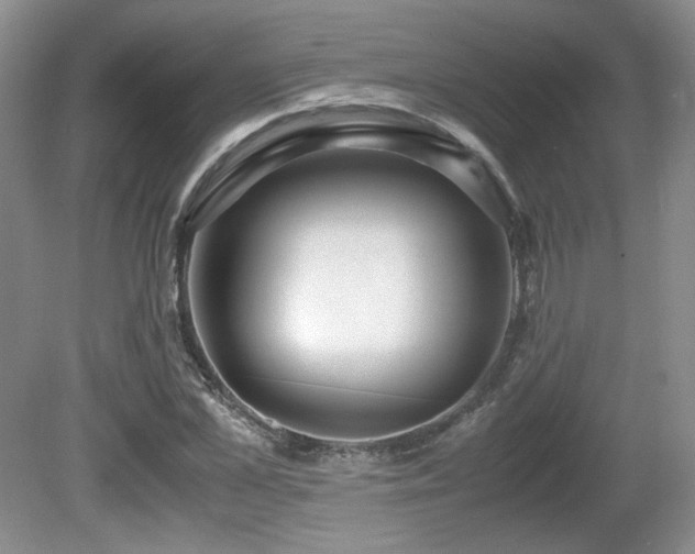 X0000081610973200701151401