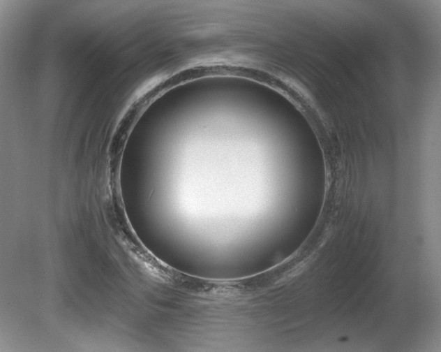 X0000081610974200701151401