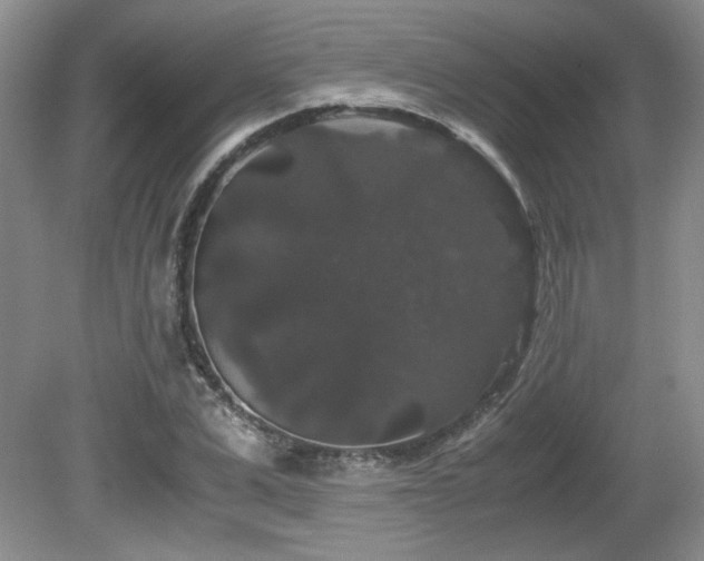 X0000081610975200701151401