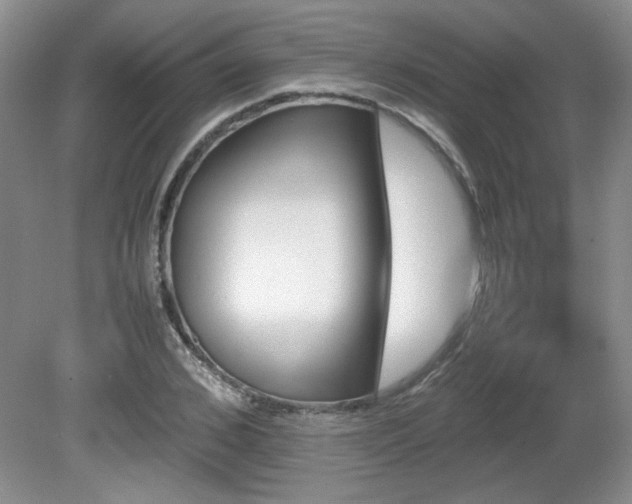 X0000081610976200701151401