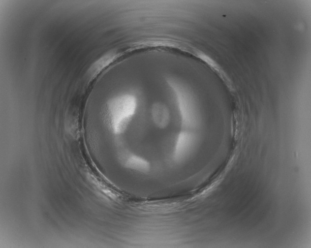 X0000081610977200701151401