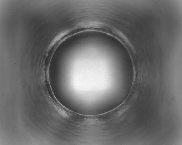 X0000081610978200701151401