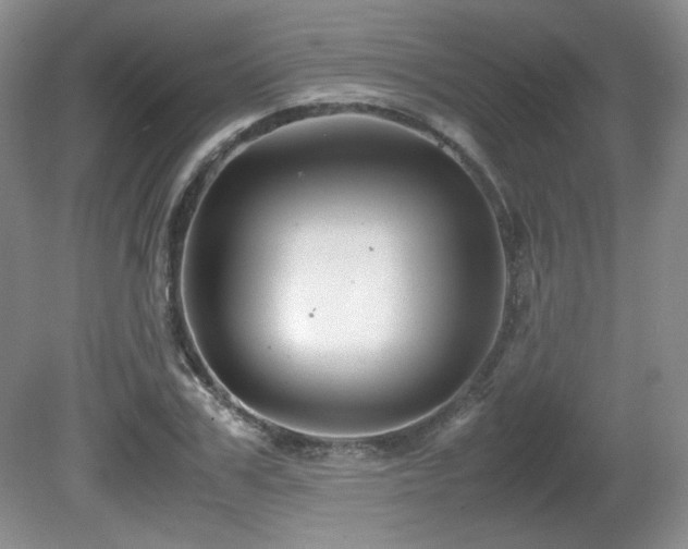 X0000081610979200701151401