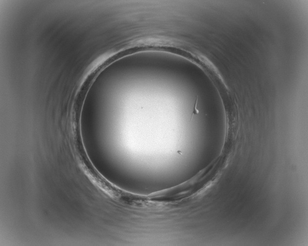 X0000081610981200701151401