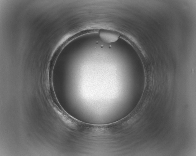 X0000081610982200701151401