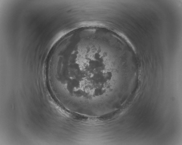 X0000081610983200701151401