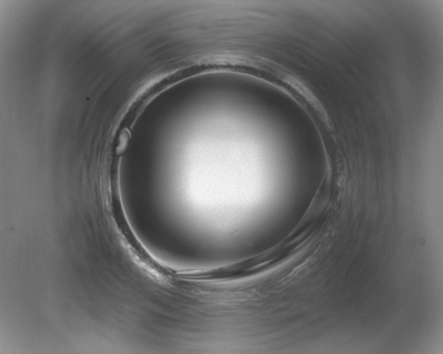 X0000081610984200701151401