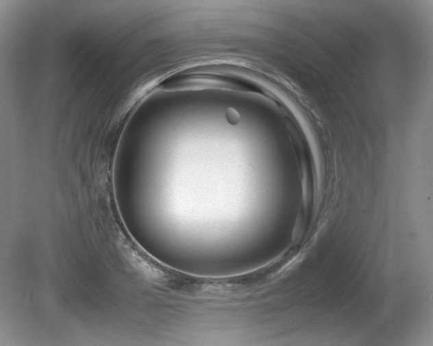 X0000081610985200701151401