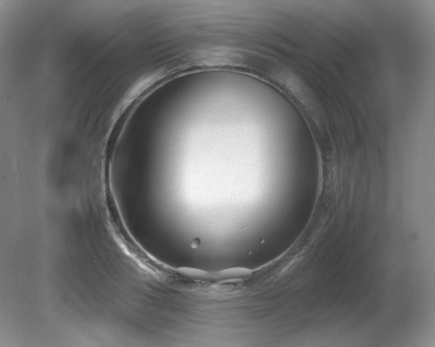 X0000081610986200701151401