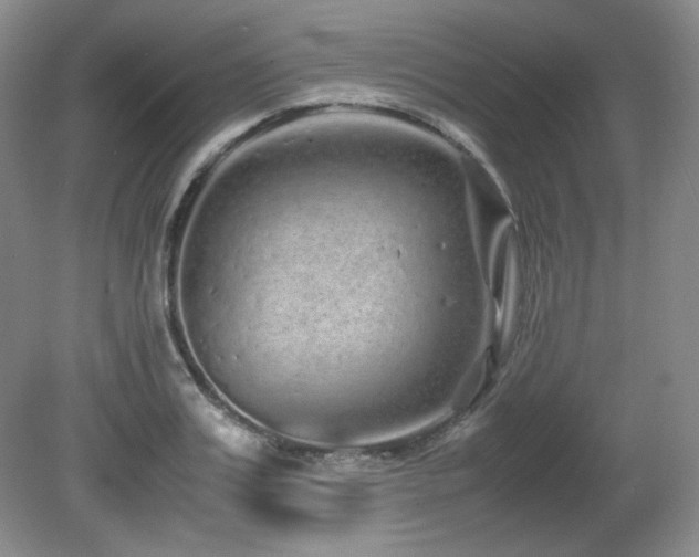 X0000081610987200701151401