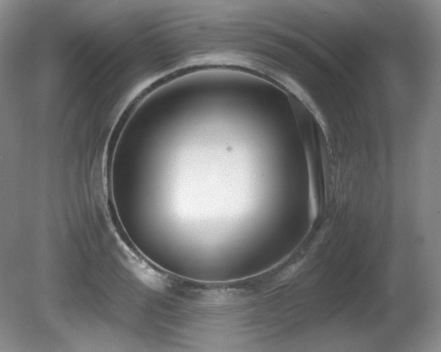 X0000081610988200701151401