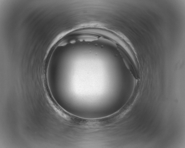 X0000081610989200701151400