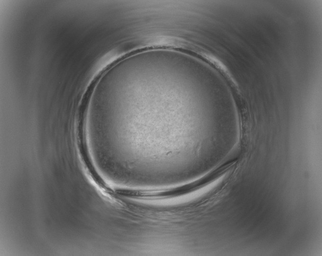 X0000081610991200701151400