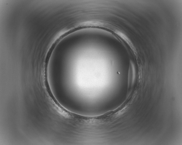 X0000081610992200701151400