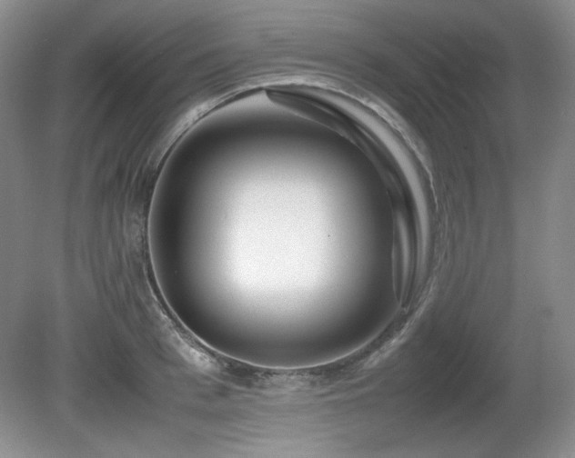 X0000081610993200701151400