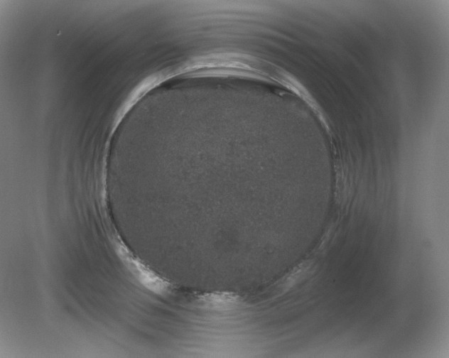 X0000081610994200701151400