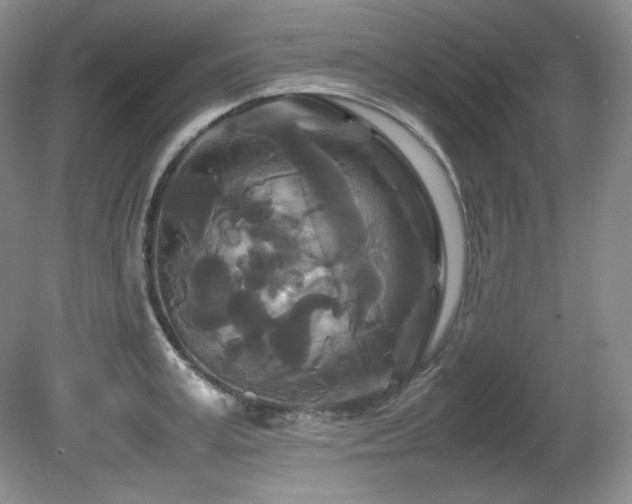 X0000081610995200701151400