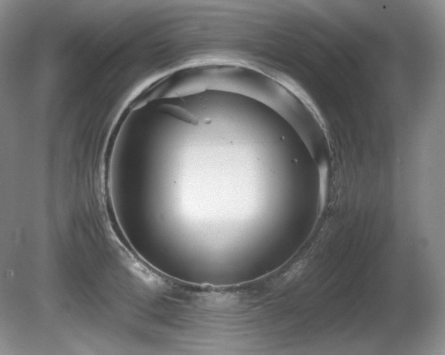 X0000081610996200701151400