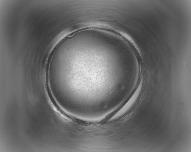 X0000081610999200701151400