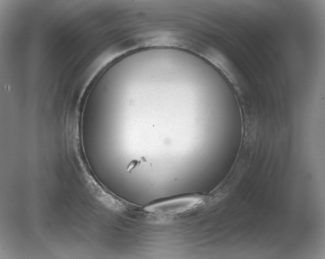 X0000081611000200701151400