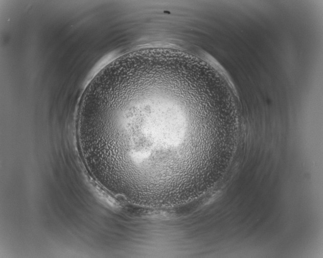 X0000081611002200701151400