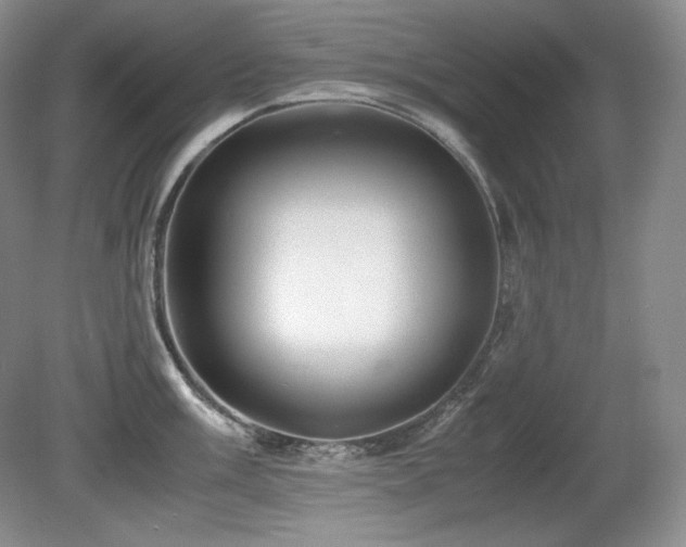 X0000081611003200701151400