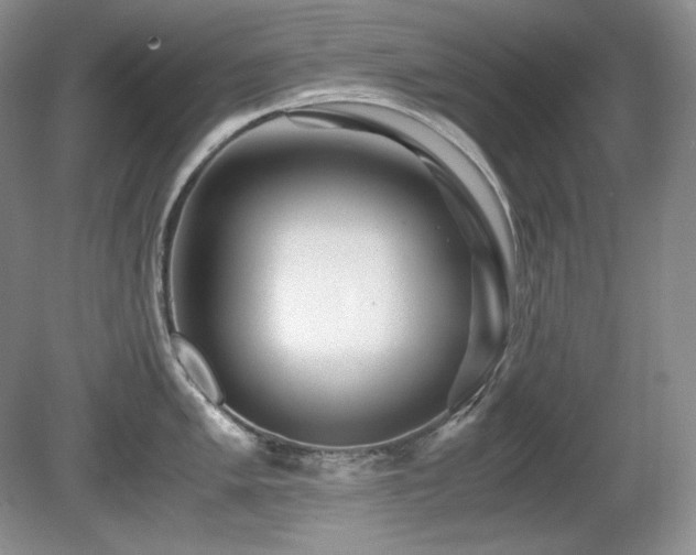 X0000081611005200701151400