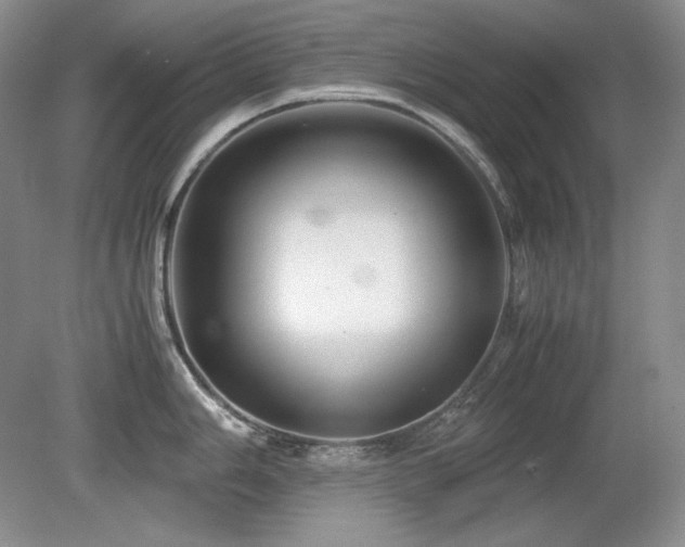 X0000081611006200701151400