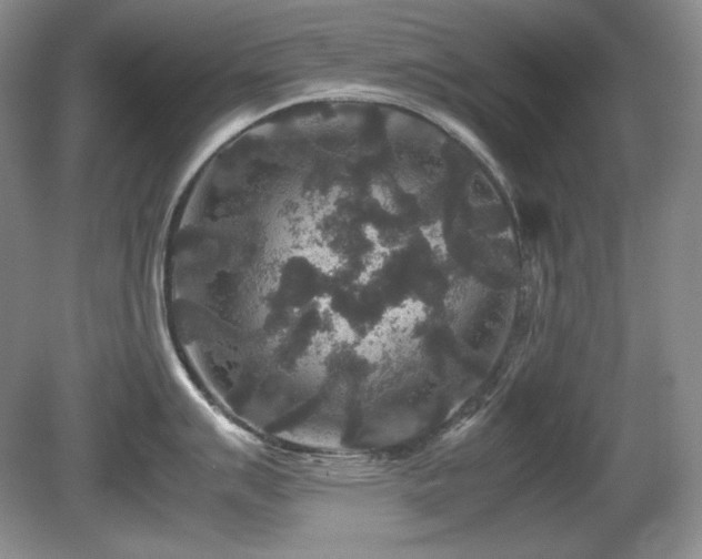 X0000081611007200701151400