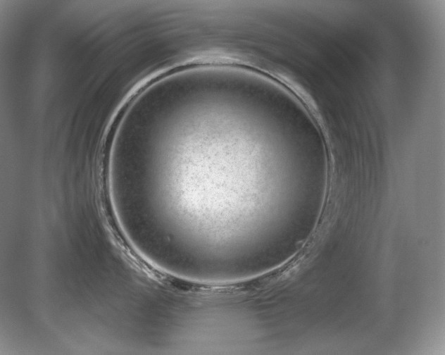 X0000081611008200701151400